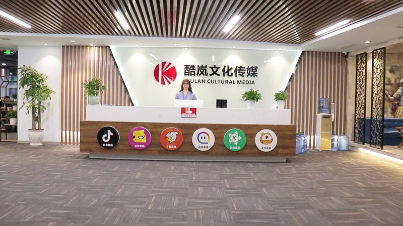 MG动画制作软件入门：从基础到实践